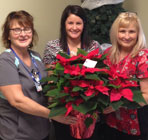 Staff receiving poinsettias from Usborne and Hibbert