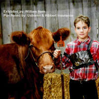 Young Boy posing with Steer